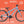 Load image into Gallery viewer, CYCLE Kids 24" Pedal Bike